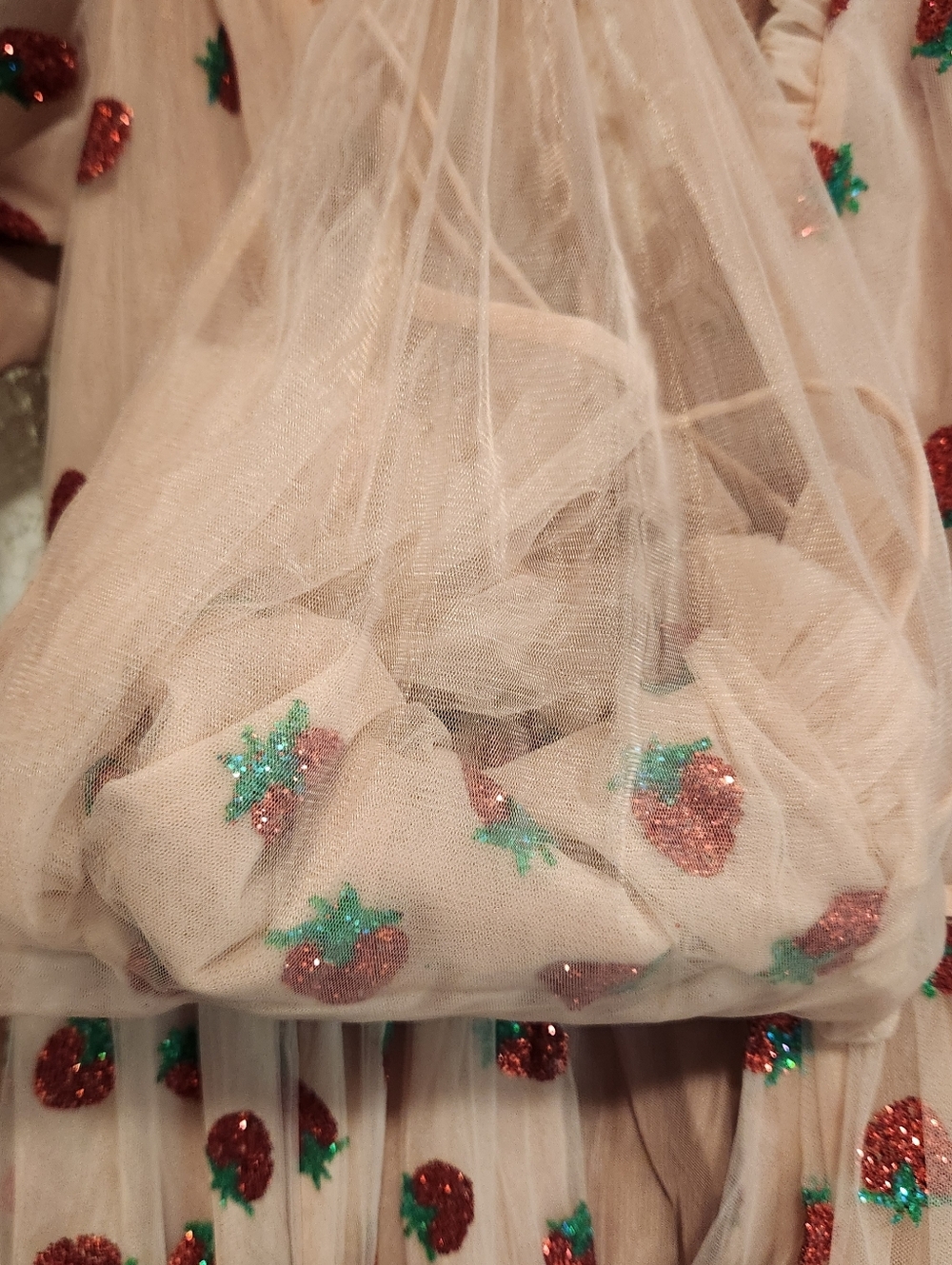 Lirika Matoshi Strawberry Dress Bundle Size XL & Pet M - Picture 13 of 16